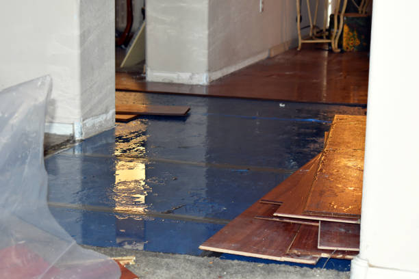 Professional Flood Cleanup technician working in Woodward, IA
